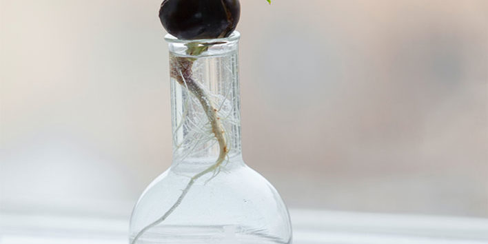 grace of no age menopause ageing women community sisterhood forcing trap create magic attitude goals plans push proaging gracefully