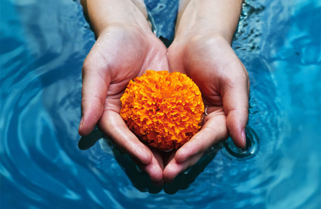 grace of no age menopause ageing women community sisterhood heal relationship ho'oponopono peace resolve conflicts proaging gracefully