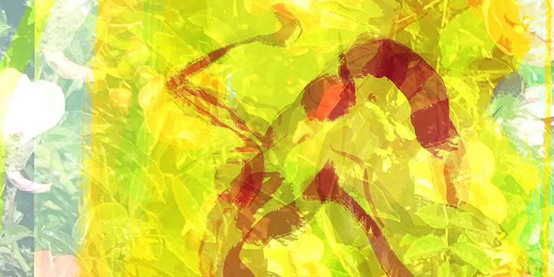 grace of no age menopause ageing women community sisterhood healthy habits organization symptoms life lessons proaging gracefully