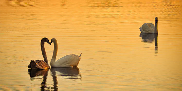 grace of no age menopause ageing women community sisterhood true love life-experience relationship liberation proaging gracefully