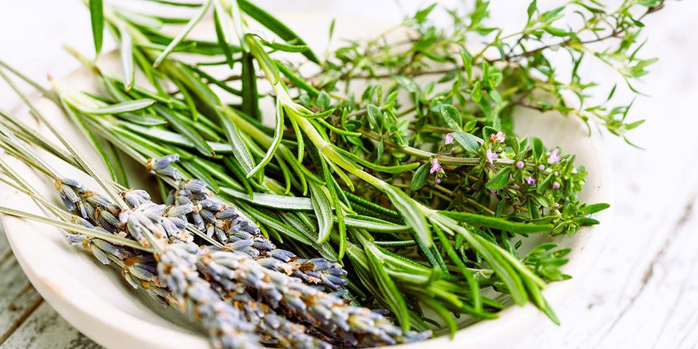 grace of no age menopause ageing women community sisterhood ageless power aromatics spices health proaging gracefully